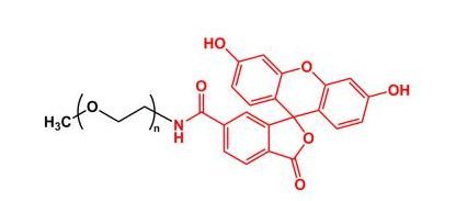 甲氧基聚乙二醇荧光素 mPEG-Fluoresein(图1)
