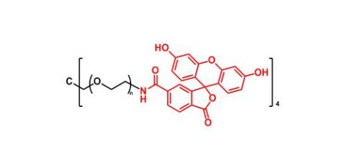 四臂聚乙二醇荧光素 4ARM-PEG-FITC(图1)