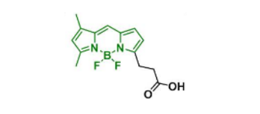 BDP FL acid，165599-63-3(图1)