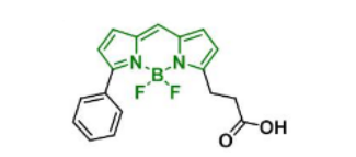 BDP R6G carboxylic acid，174881-57-3(图1)