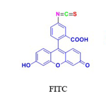 FITC/TAMRA/ATTO荧光染料标记多肽(图1)