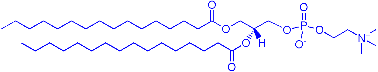 63-89-8，DPPC（1,2-二棕榈酰-sn-甘油-3-磷酰胆碱）(图1)