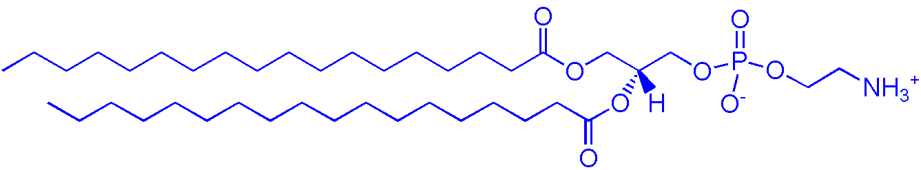 1069-79-0，DSPE（1,2-二硬脂酰基-sn-丙三基-3-磷脂酰乙醇胺）(图1)