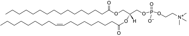 1-棕榈酰基-2-油酰基卵磷脂POPC(图1)